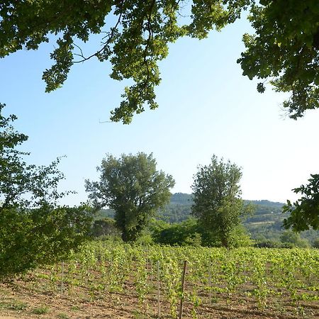 Le Petit Bacalan Villa Mormoiron Dış mekan fotoğraf