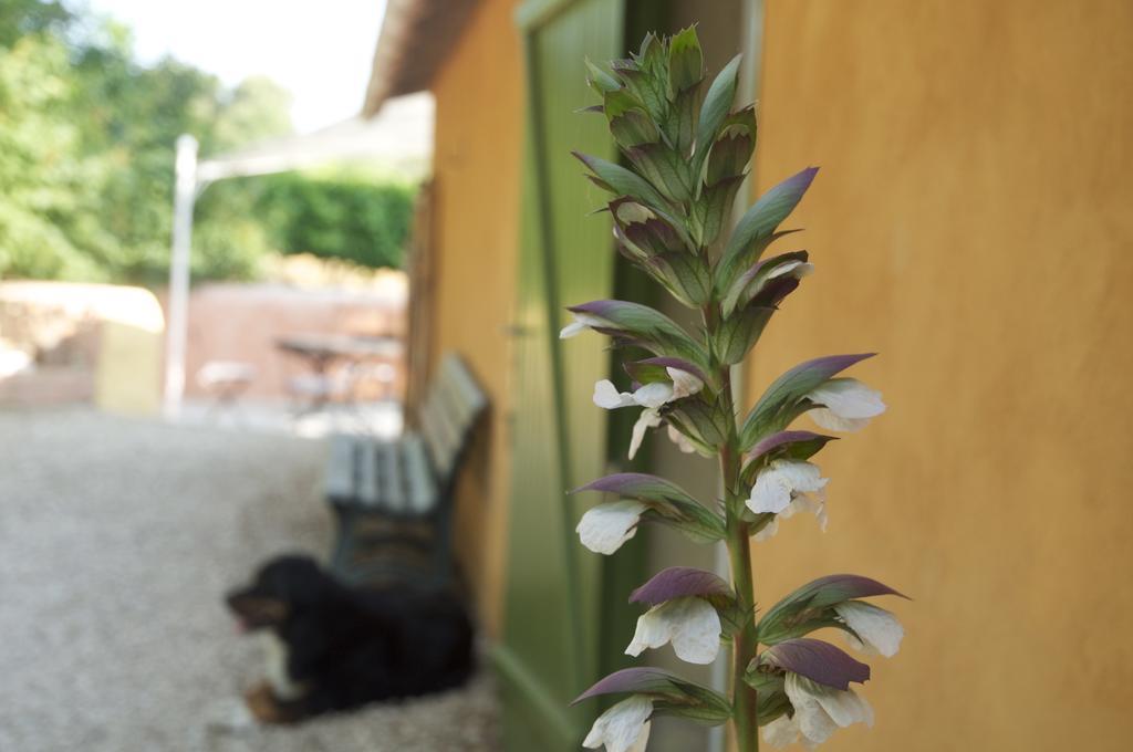 Le Petit Bacalan Villa Mormoiron Oda fotoğraf