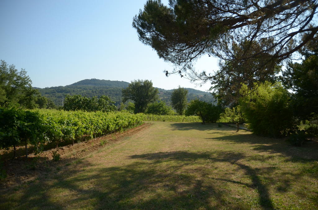 Le Petit Bacalan Villa Mormoiron Oda fotoğraf