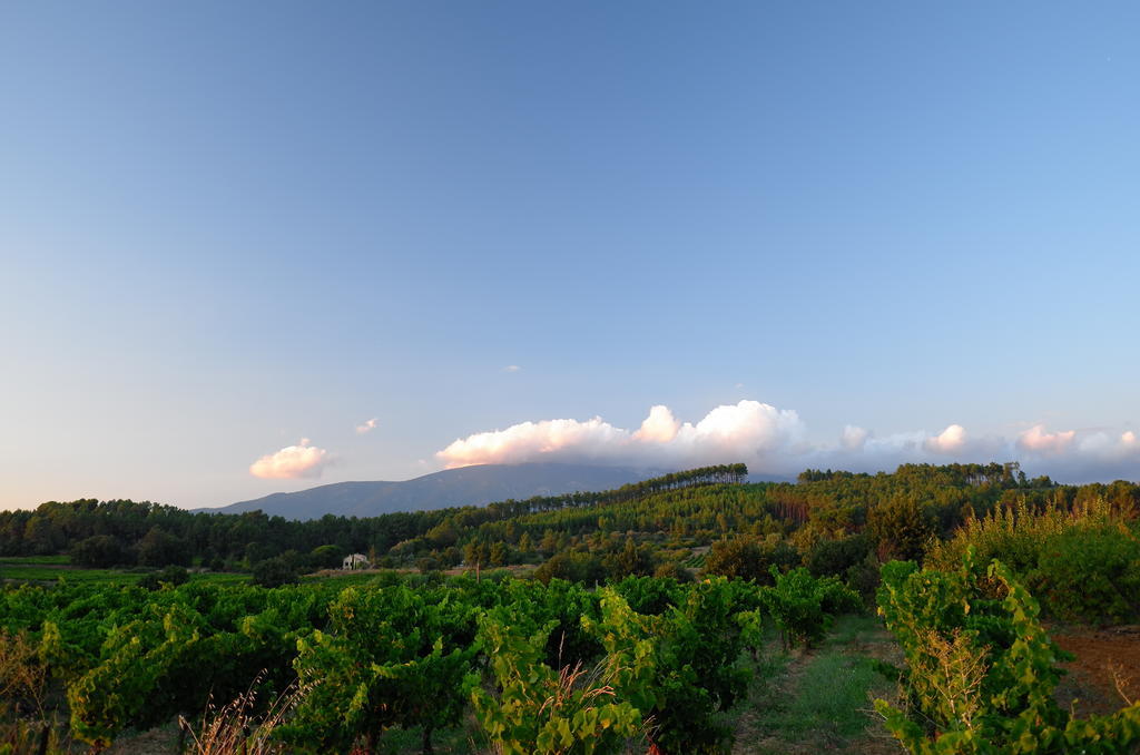 Le Petit Bacalan Villa Mormoiron Oda fotoğraf